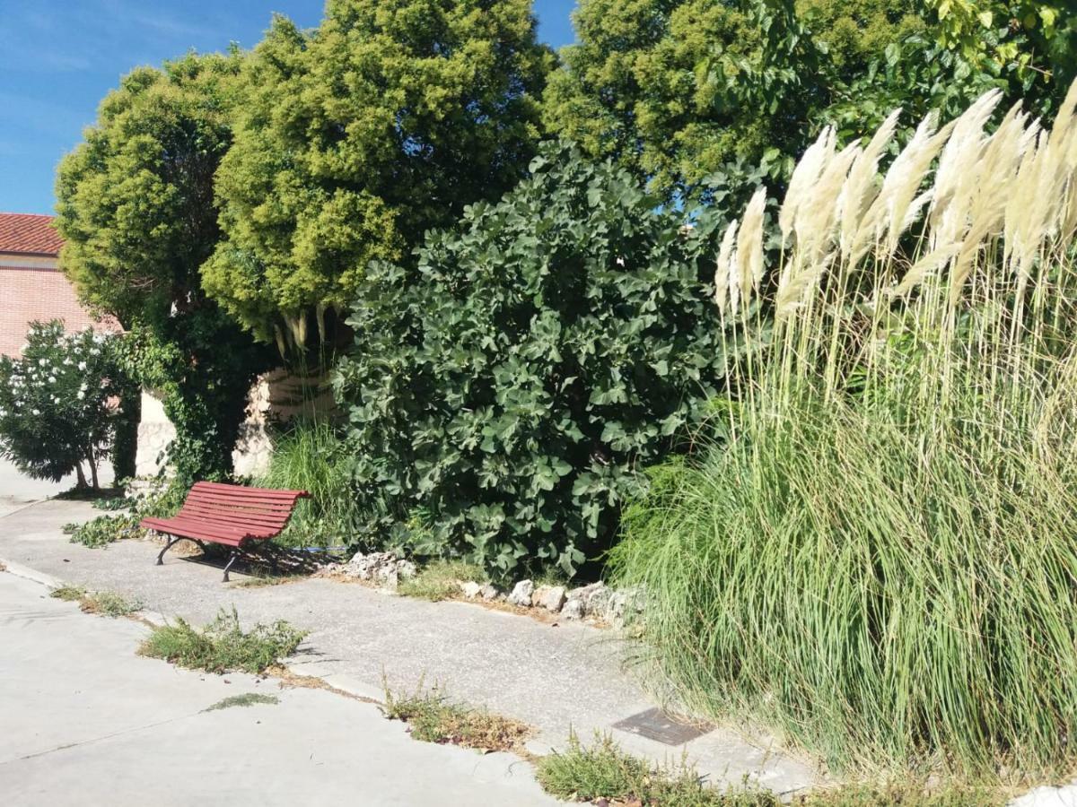 De Anil - Jardin Privado